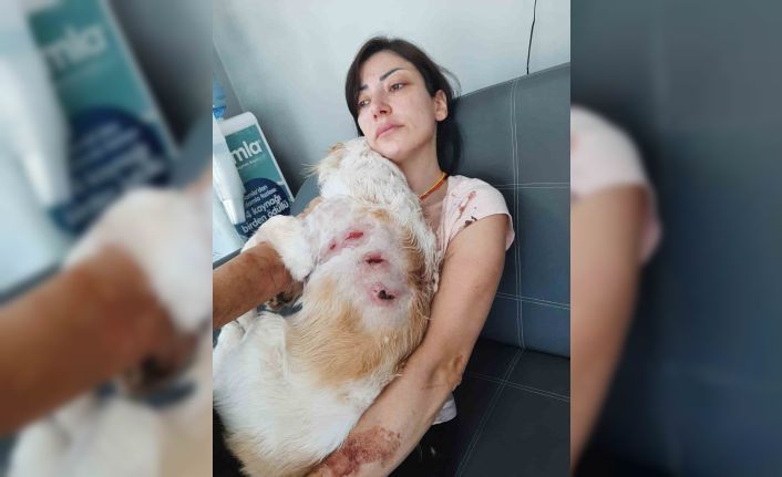 Bursa’da kangal dehşeti...O anlar kamerada