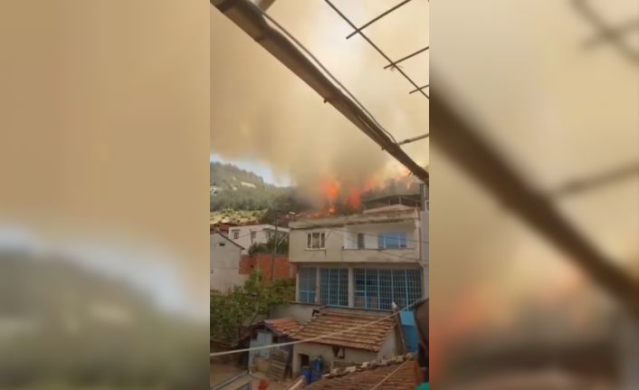 Bursa’da orman yangını kontrol altına alındı