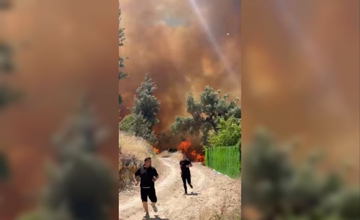 Bursa’da orman yangını köydeki evlere sıçradı...Büyük panik yaşanıyor