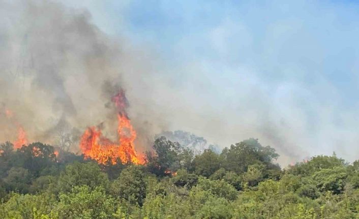 Bursa’da orman yangınlarının ardı arkası kesilmiyor
