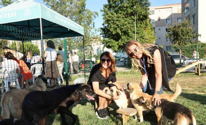 Bursa’da Sahiplendirme Şenliği