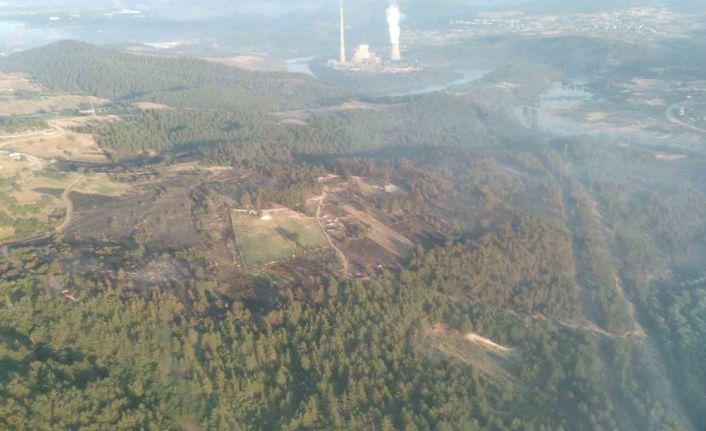 Bursa’daki yangın söndürüldü, yeşil orman griye döndü