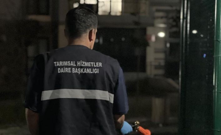 Büyükşehir’den ilaçlama atağı