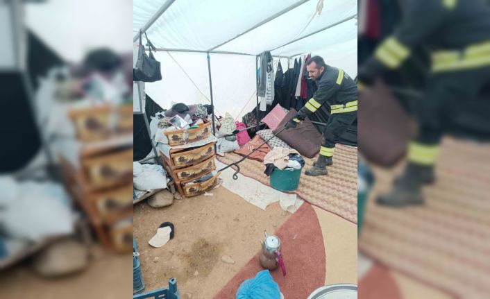 Çadıra giren yılan paniğe neden oldu