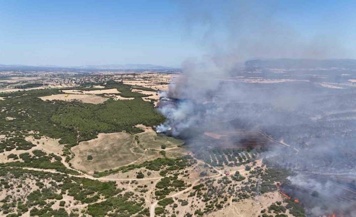 Çanakkale Valiliği: Yerleşim yerlerini tahliyeyi gerektirir bir risk bulunmamaktadır