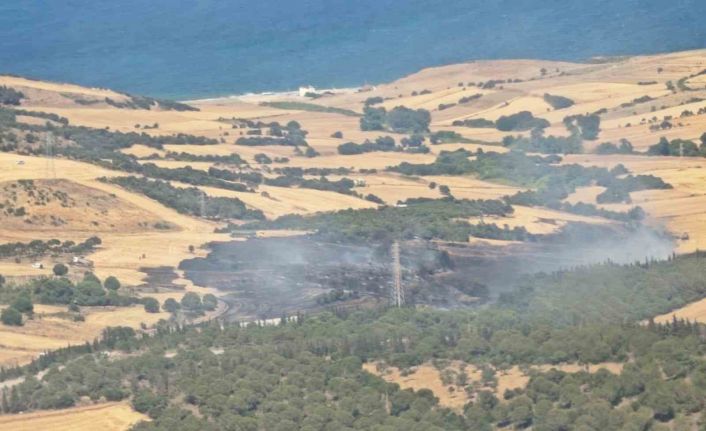 Çanakkale’de tarım arazisinde başlayıp ormana sıçrayan yangın kontrol altına alındı