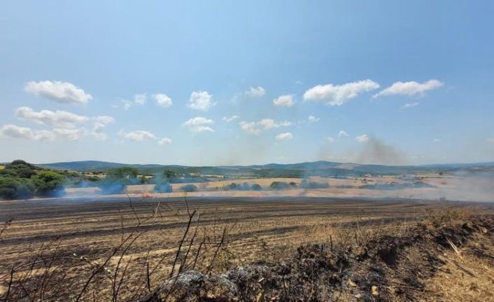 Çanakkale’de tarım arazisinde yangın