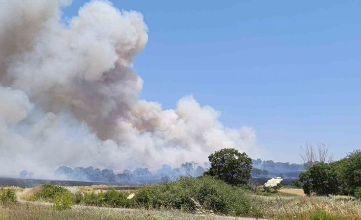 Çan’da tarım arazisinde yangın çıktı