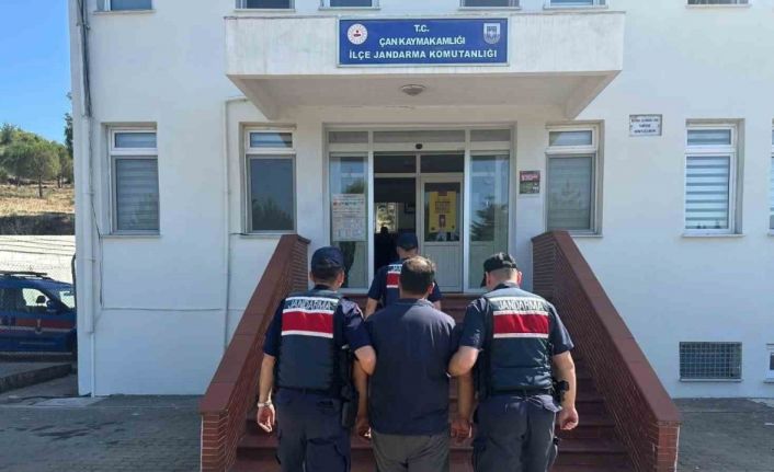 Çan’da yangına neden olan şüpheli hakkında adli işlem başlatıldı
