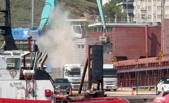 Çelebi Limanı kirlilik saçıyor, Bandırma Körfezi ölüyor