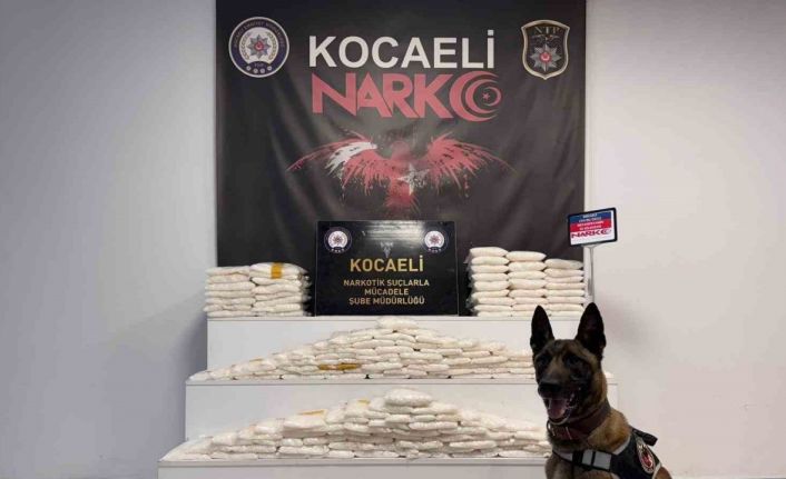 Cipte zulalanmış 82 kilo uyuşturucu ele geçirildi: 1 şüpheli tutuklandı