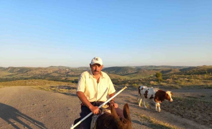 Çobanlık kıymete bindi