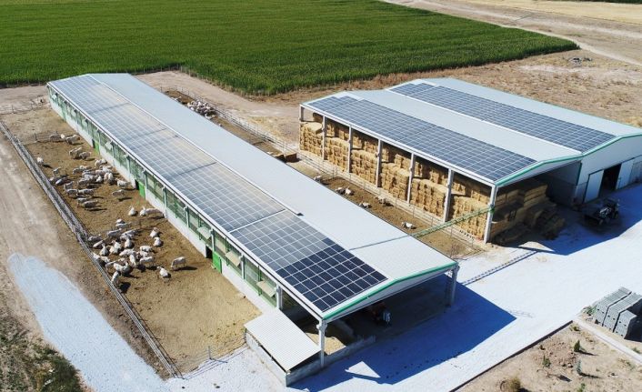 Denizli tarımına 87.4 milyonluk destek