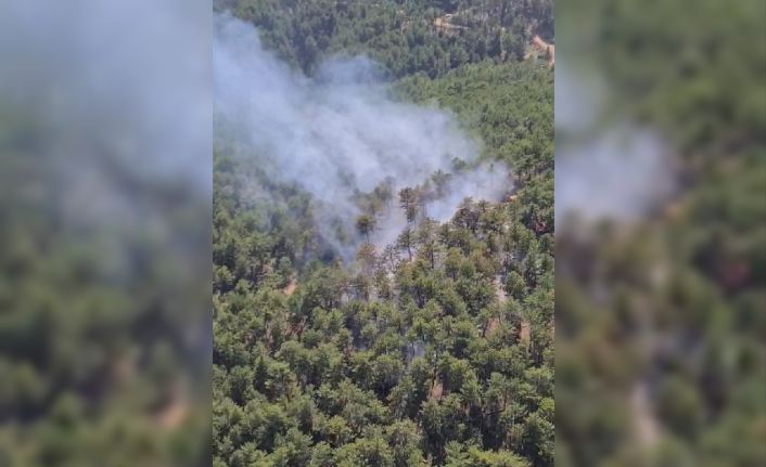 Denizli’de orman yangınına havadan ve karadan müdahale ediliyor