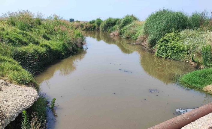 Dere yatağına kanalizasyon akıyor