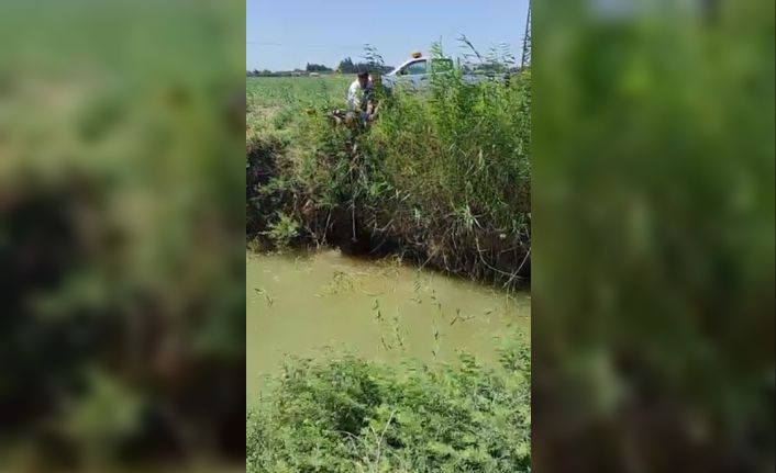 Dereye düşen köpeği itfaiye ekipleri kurtardı