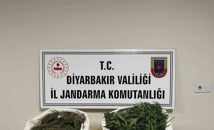 Diyarbakır’da 8 kilo esrar ele geçirildi
