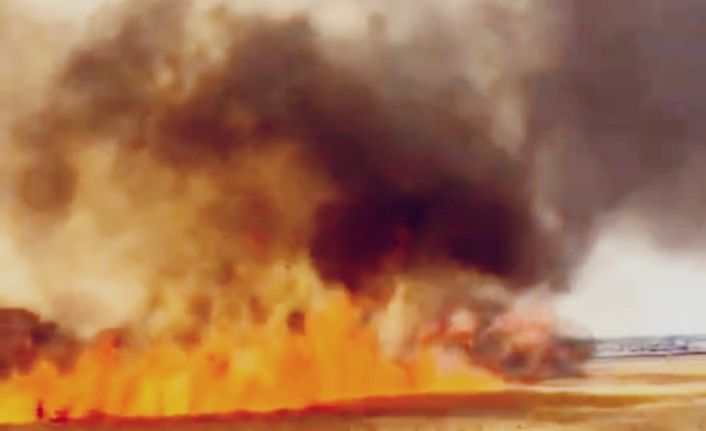 Diyarbakır’da biçilmemiş 30 dönüm buğday yangında kül oldu