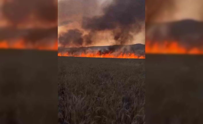 Diyarbakır’da buğday tarlasında anız yangını