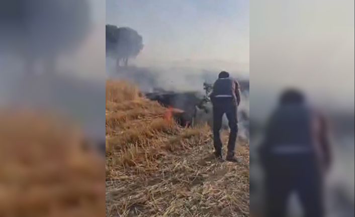 Diyarbakır’da vatandaşlar ağaç dallarını kopararak yangını söndürmeye çalıştı