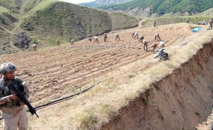 Diyarbakır’da yaklaşık 160 milyar 650 milyon TL olan 319 tonluk uyuşturucu maddenin topluma sunulmasının önüne geçildi