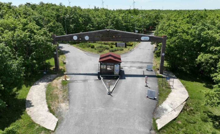 Doğaseverlerin yeni uğrak noktası: Esenyurt Belediyesi Danamandıra Tabiat Parkı