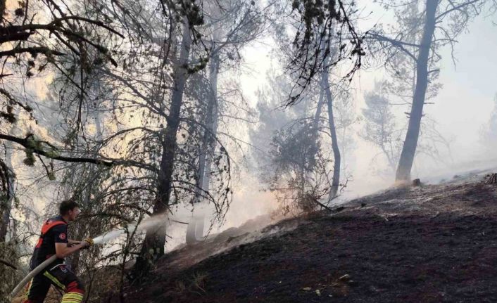 Dursunbey’de orman yangını