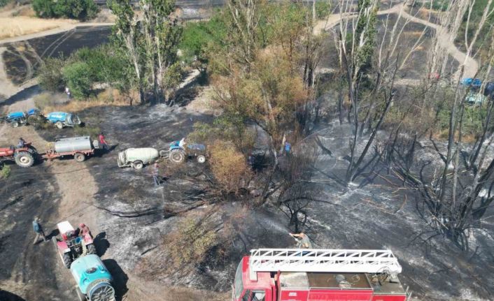 Eber Gölü yanındaki tarım arazilerinde yangın çıktı