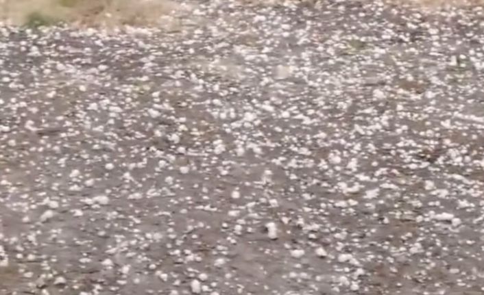 Edirne’de dolu yağışı etkili oldu