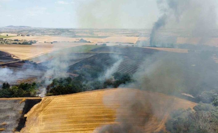 Edirne’de tarlada çıkan yangın söndürüldü