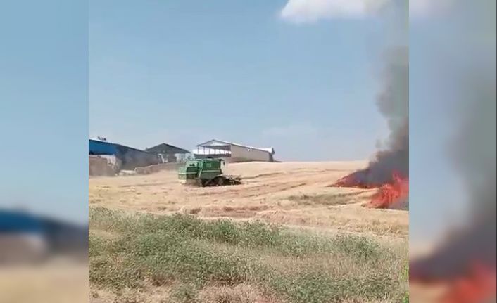 Ekili alanlar cayır cayır yandı