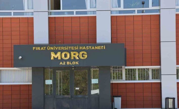 Elazığ’da uçurumdan düşen genç hayatını kaybetti