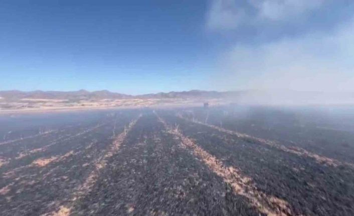 Elazığ’da yangın, 60 dönümlük ekili alanı küle çevirdi