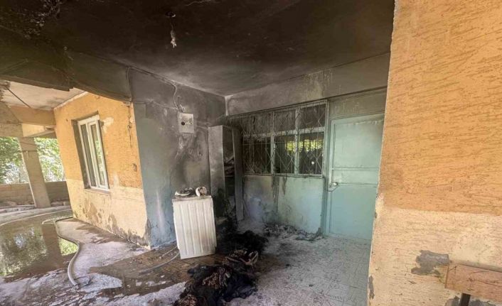 Elektrik arızası yangına neden oldu