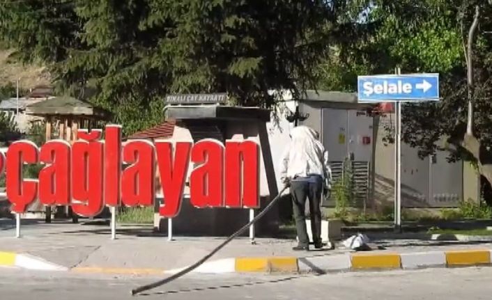 Erzincan’da arı paniği