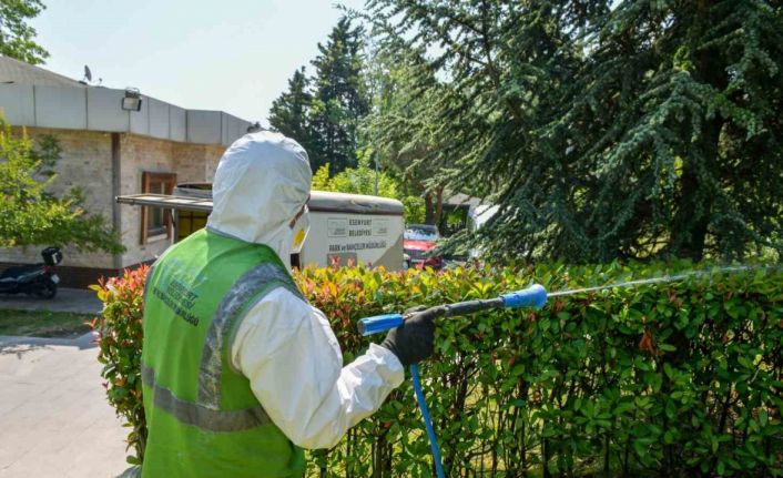 Esenyurt’ta haşerelere karşı kapsamlı mücadele