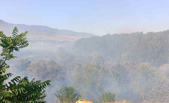 Eskişehir’de ağaçlık alanda yangın: Alevler okul lojmanına sıçradı