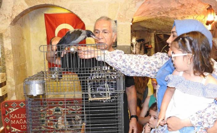Esnafın sahiplendiği karga ile dostluğu görenleri hayrete çeviriyor