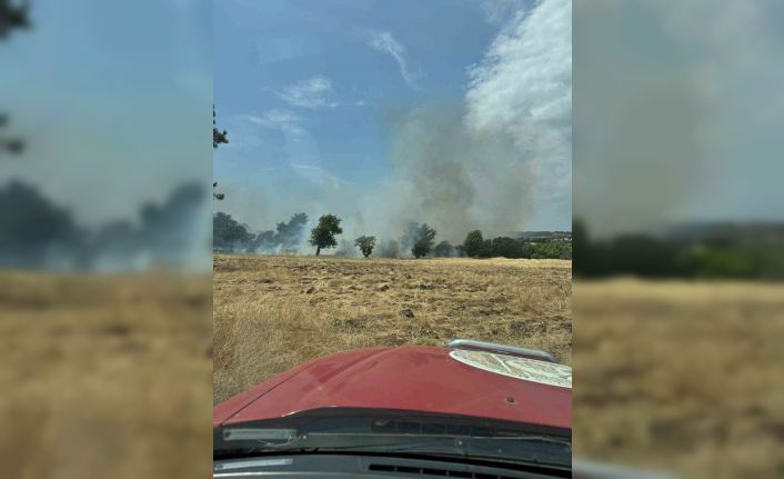 Ezine’de tarım arazisinde çıkan yangın kontrol altına alındı