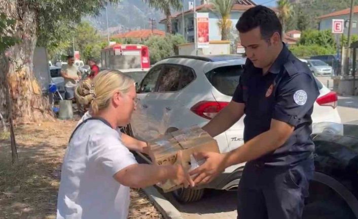 Fethiye’de otomobilde sıkışan yavru kedi kurtarıldı