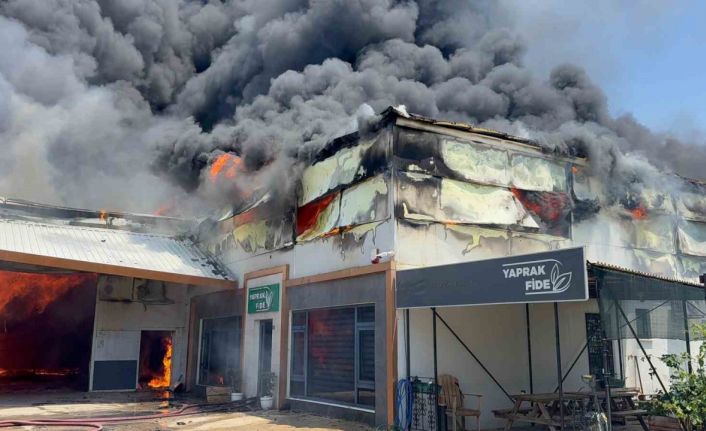 Fide üretim merkezinde yangın
