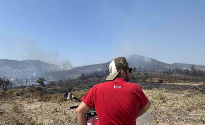 Foça yangınında alevler evlerin bahçelerine kadar yaklaştı