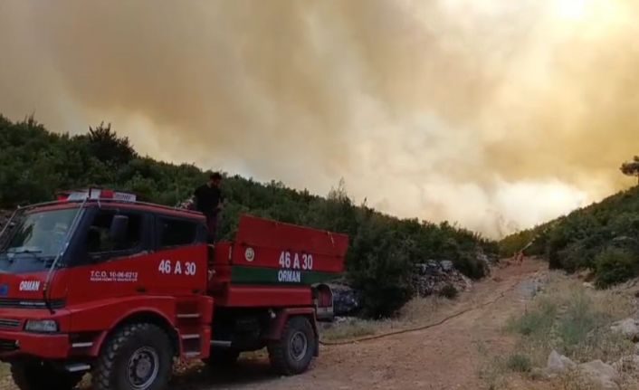 Gaziantep’te orman yangını: Yangına havadan ve karadan müdahale ediliyor