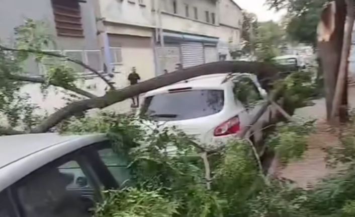 Gaziantep’te şiddetli fırtına: Ağaçlar devrildi, araçlar zarar gördü, toz bulutu etrafı kapladı