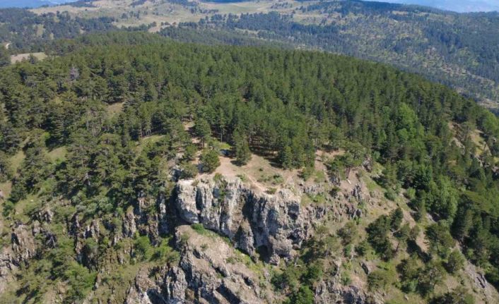 Gelin Uçtu Tabiat Parkı tescillendi