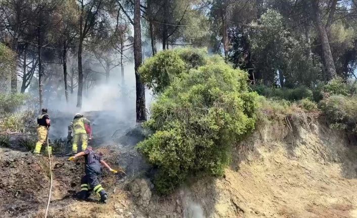 Gemlik’te çamlık alanda çıkan yangın kısa sürede söndürüldü