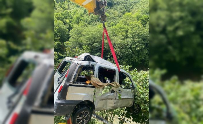 Giresun’da hafif ticari araç dereye uçtu