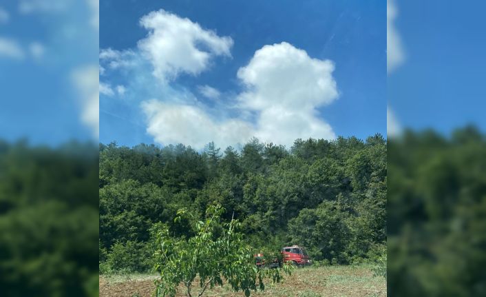 Gölpazarı’nda yangın bölgesinde alevler yeniden yükseldi, ekipler harekete geçti
