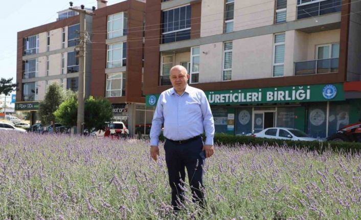Gönen’de biyogaz tesisine "ÇED olumlu" kararı