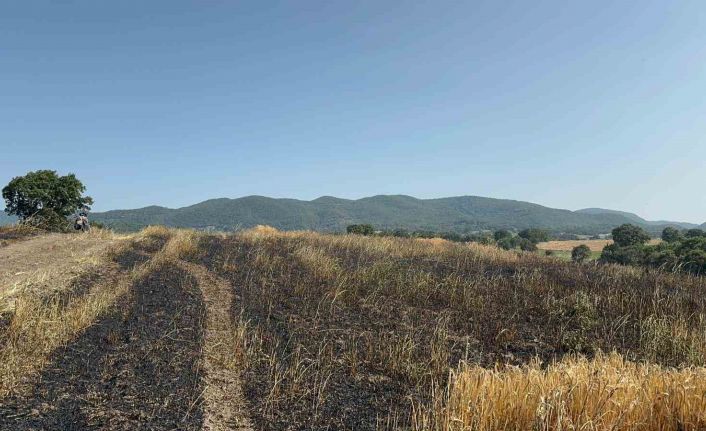 Gönen’de buğday tarlasında çıkan yangında 50 dönüm arazi kül oldu